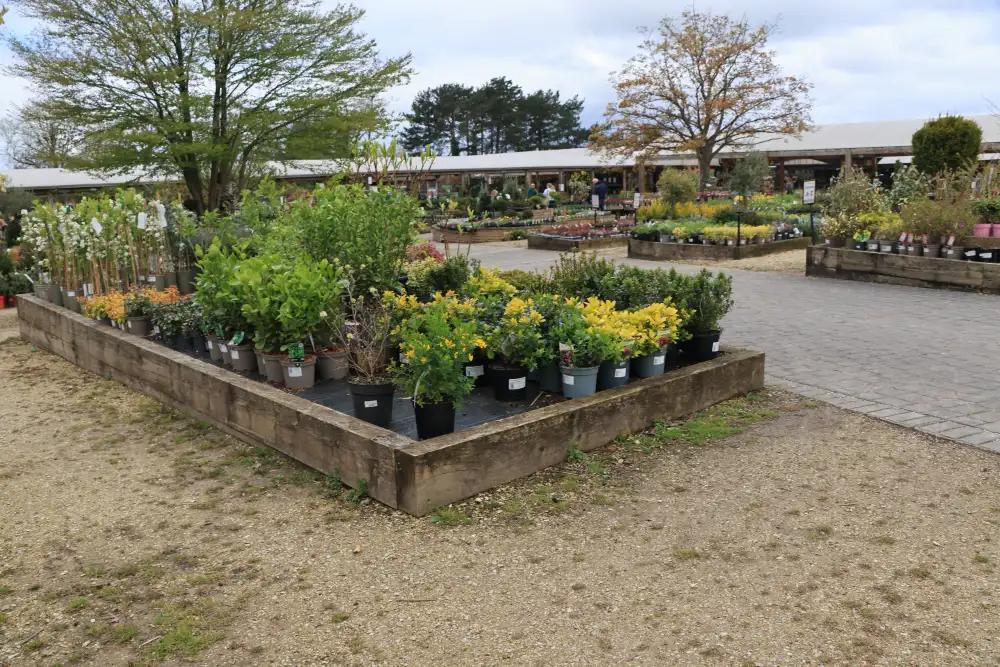 Landscaping business using ArrayQ