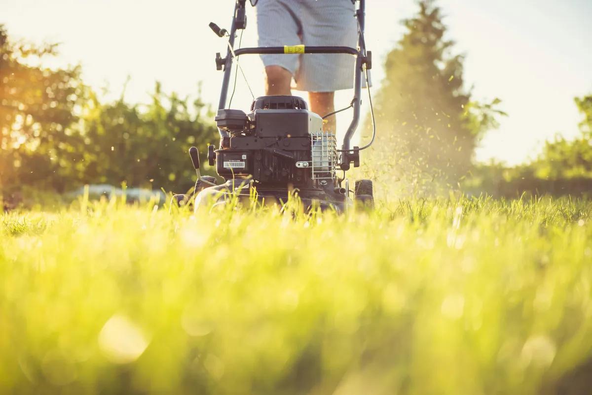 Lawn Care business using ArrayQ